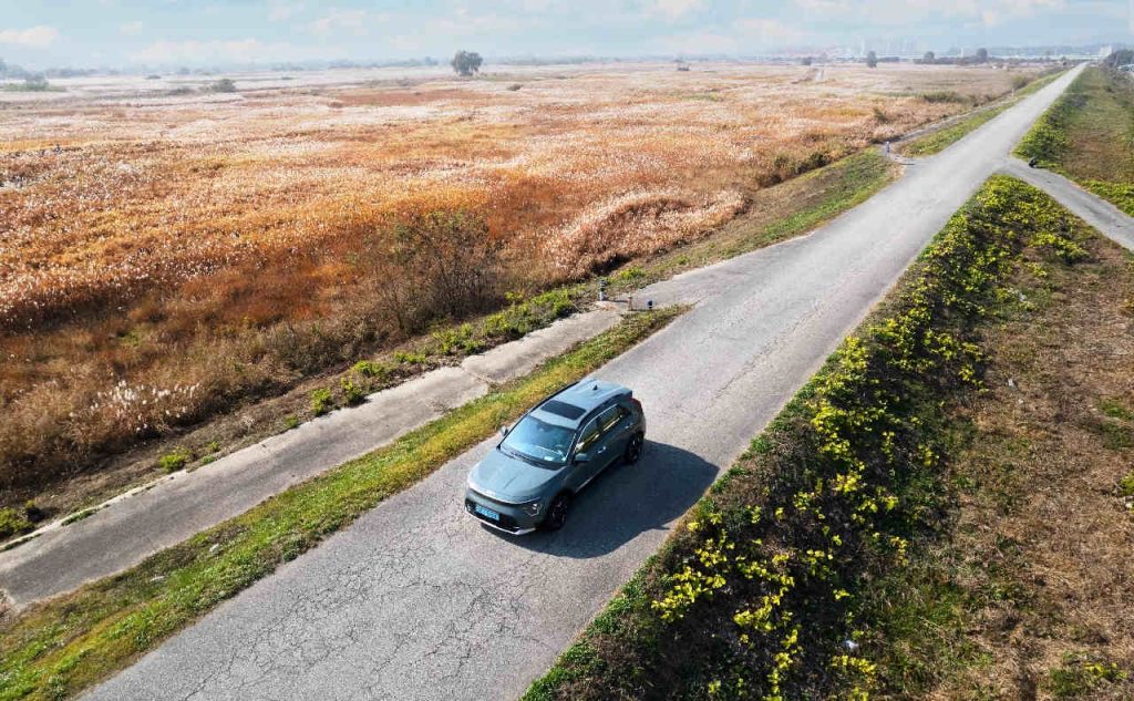 Auto elettriche in estate