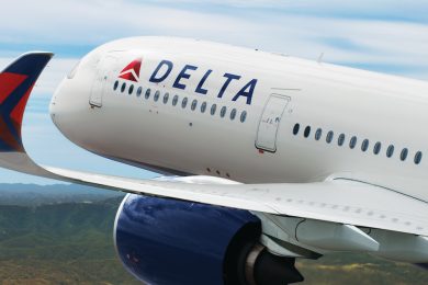 Delta Airlines 2024