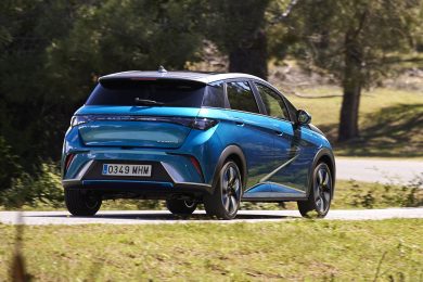 Byd Dolphin