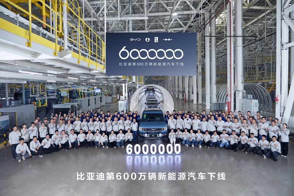 byd tesla 2024