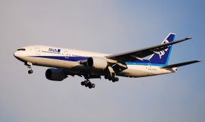 Volare in business class