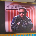 Shaggy Pandastic