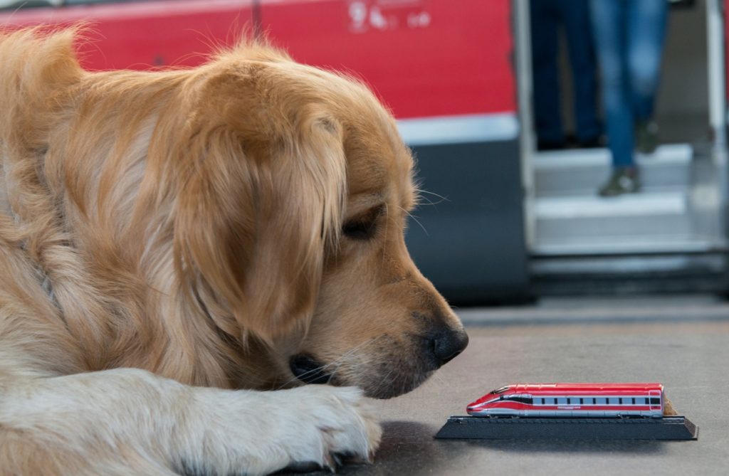 cani-trenitalia