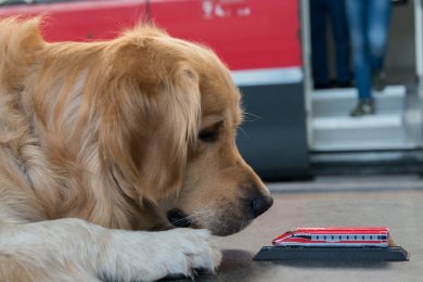cani-trenitalia