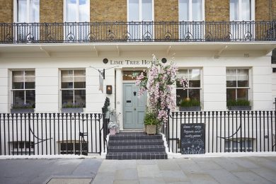 Room Mate Lime Tree Londra