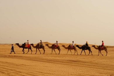 trend del turismo