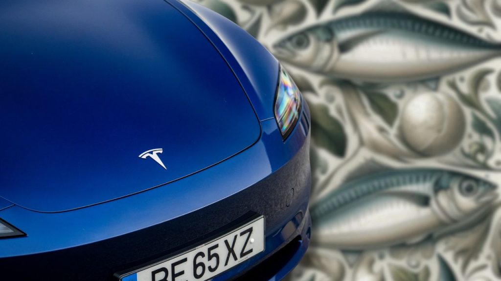 tesla-model-c-mission