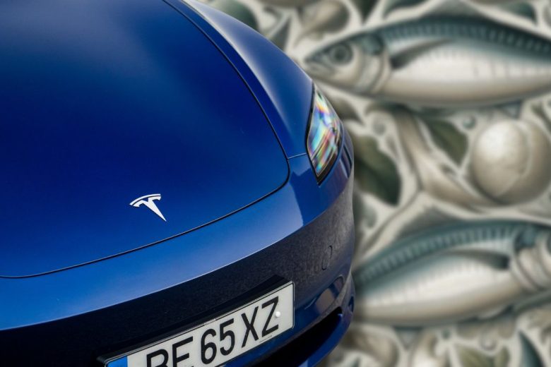 tesla-model-c-mission