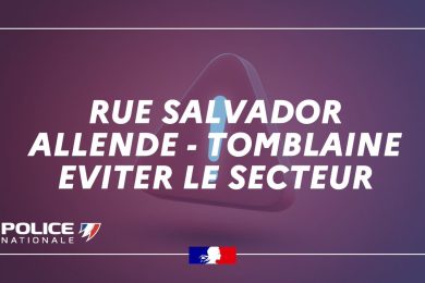 Francia precipita aereo da turismo