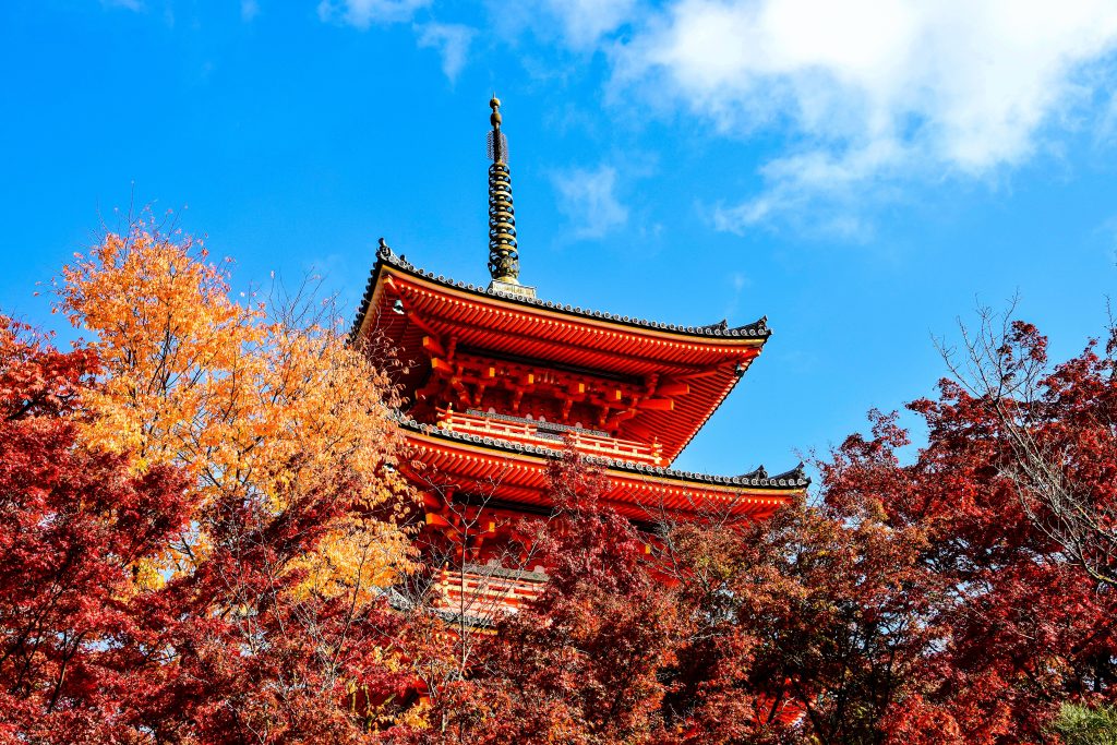 Ottobre è il mese in cui il mondo cambia ritmo. Le grandi città tornano a vivere dopo la pausa estiva, i paesaggi si tingono dei colori dell’autunno e, in alcune parti del mondo, il sole continua a invitare a una vacanza al mare. È quindi un periodo particolarmente interessante per partire, soprattutto per chi vuole evitare l’alta stagione e vivere le destinazioni con un’atmosfera più rilassata. Ma dove andare a ottobre? Dalle capitali europee alle isole del Mediterraneo, fino alle mete intercontinentali, le possibilità sono numerose. La scelta dipende dal tipo di viaggio: c’è chi cerca ancora il caldo, chi preferisce visitare musei e città d’arte e chi, invece, vuole immergersi nella natura autunnale.