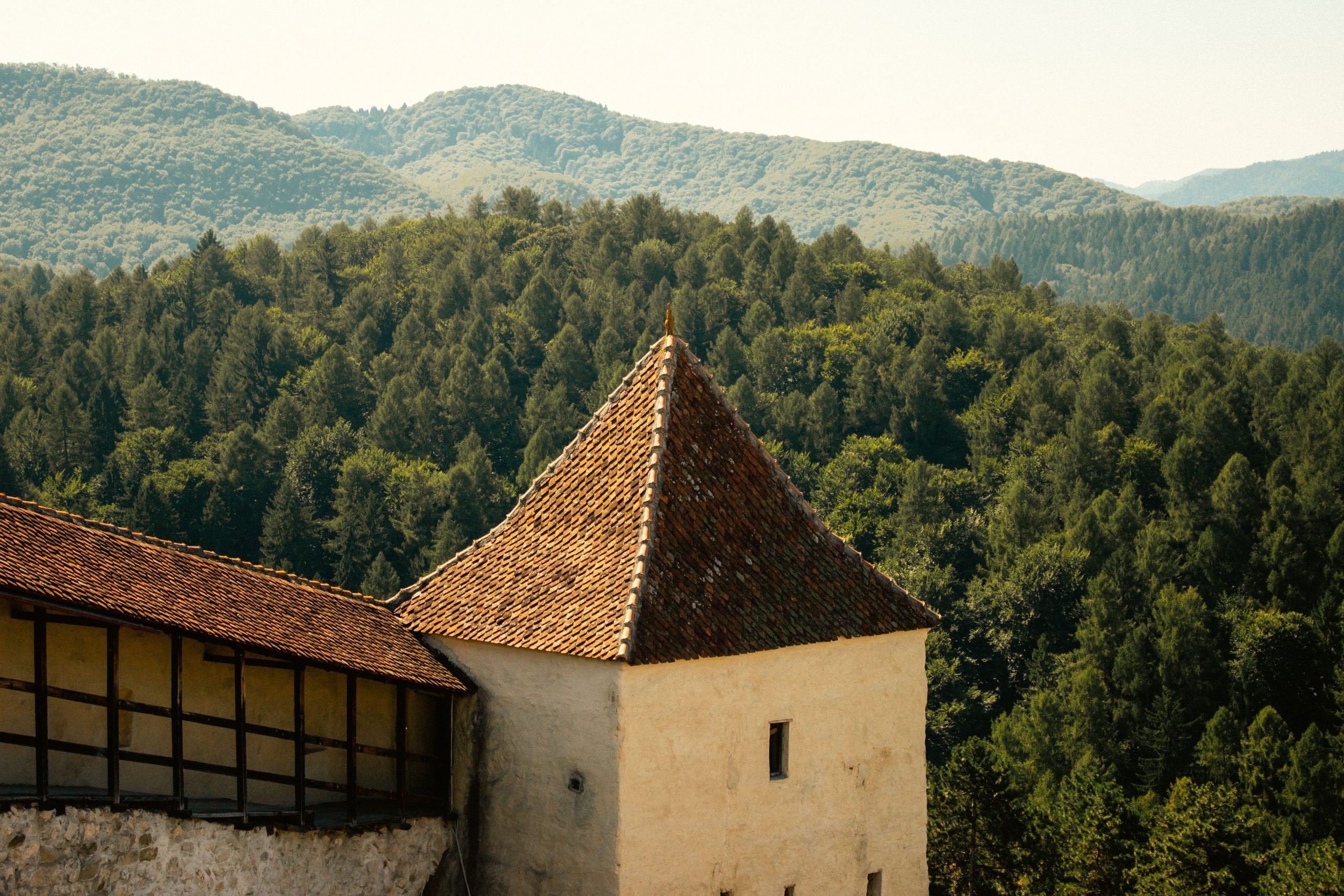 transilvania foliage