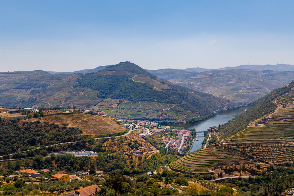 valle duoro foliage