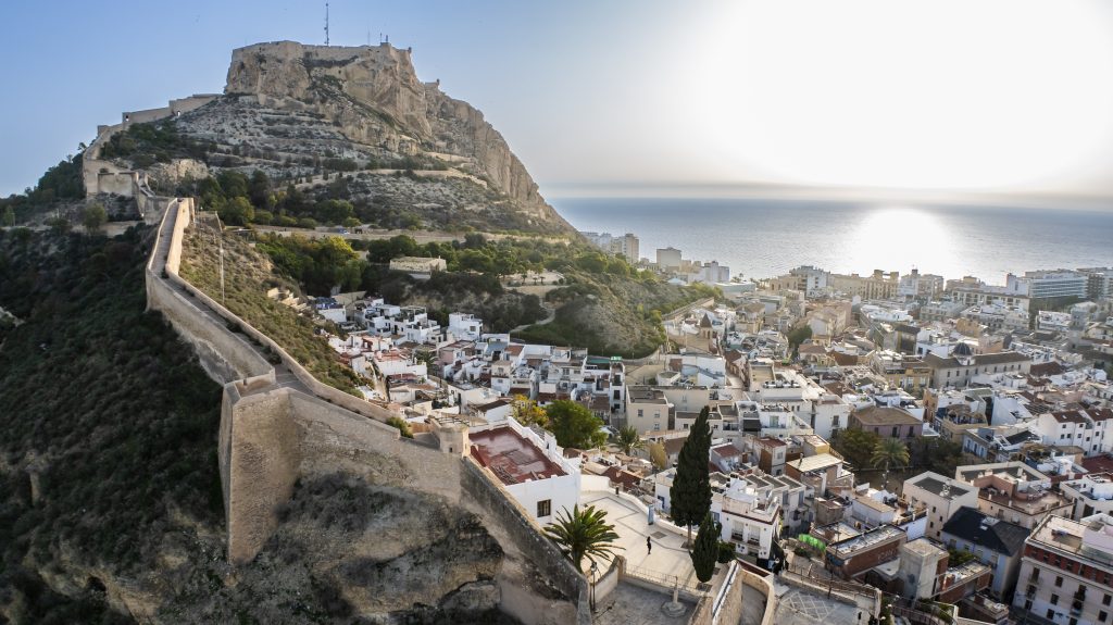 alicante mice