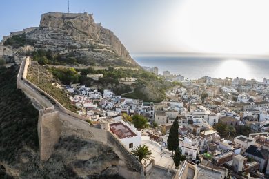alicante mice